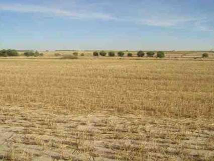 Parcela rústica en venta en La Zarza