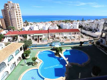 Estudio en venta en Torrevieja