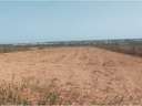Parcela rústica en venta en Elche/Elx zona La Hoya