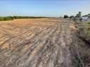 Parcela rústica en venta en Elche/Elx zona La Marina