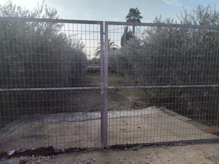 Parcela rústica en venta en Elche/Elx