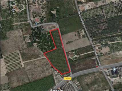Parcela rústica en venta en Elche/Elx