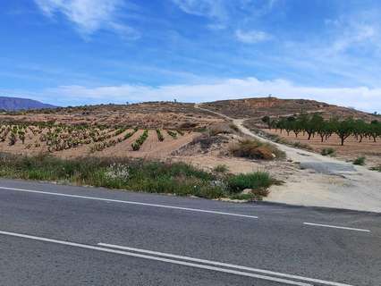 Parcela rústica en venta en El Pinós/Pinoso