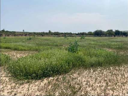 Parcela rústica en venta en Elche/Elx