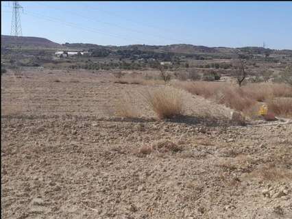 Parcela rústica en venta en Elche/Elx