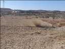 Parcela rústica en venta en Elche/Elx