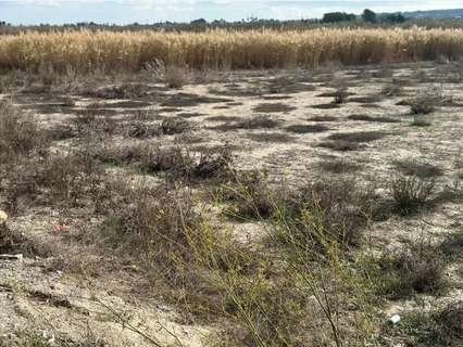 Parcela rústica en venta en Elche/Elx
