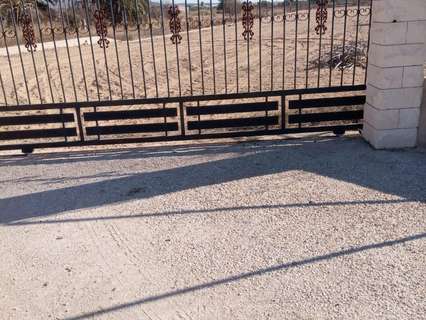 Parcela rústica en venta en Elche/Elx