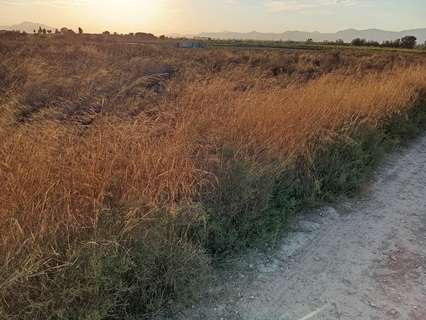 Parcela rústica en venta en Elche/Elx zona La Marina