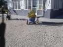 Chalet en venta en Elche/Elx zona La Hoya rebajado