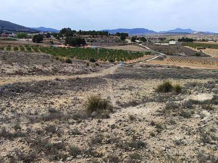 Parcela rústica en venta en Crevillent