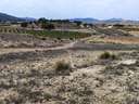 Parcela rústica en venta en Crevillent