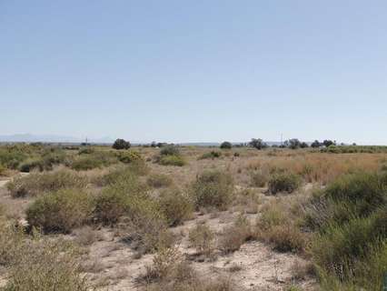 Parcela rústica en venta en Elche/Elx zona La Marina