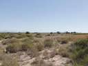 Parcela rústica en venta en Elche/Elx zona La Marina