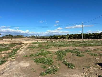 Parcela rústica en venta en Elche/Elx
