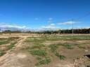 Parcela rústica en venta en Elche/Elx