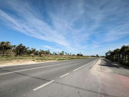 Parcela rústica en venta en Elche/Elx zona La Hoya