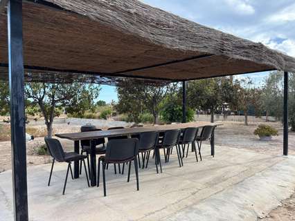 Parcela rústica en venta en Elche/Elx zona Perleta