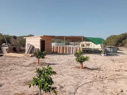 Parcela rústica en venta en Elche/Elx zona La Hoya