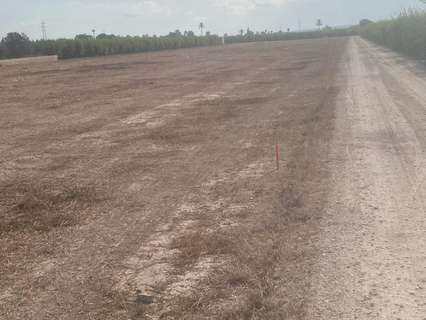 Parcela rústica en venta en Elche/Elx zona La Hoya