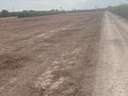 Parcela rústica en venta en Elche/Elx zona La Hoya