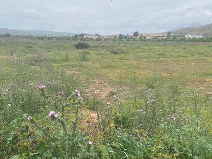 Parcela rústica en venta en Hondón de los Frailes