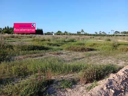 Parcela rústica en venta en Elche/Elx zona Las Bayas