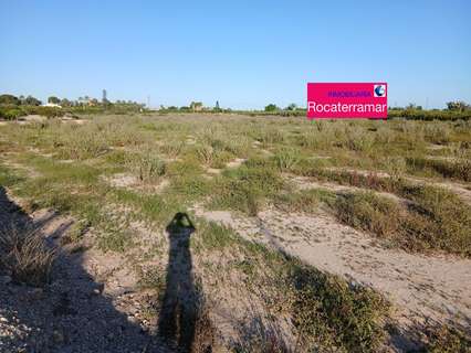 Parcela rústica en venta en Elche/Elx zona Las Bayas