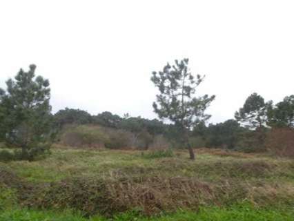 Parcela urbana en venta en Getxo