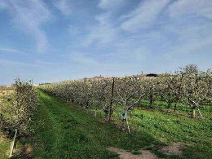 Parcela rústica en venta en Alfaro