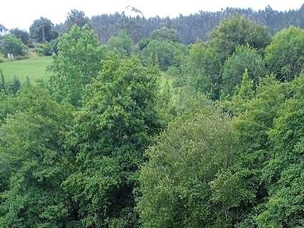 Parcela urbana en venta en Gizaburuaga