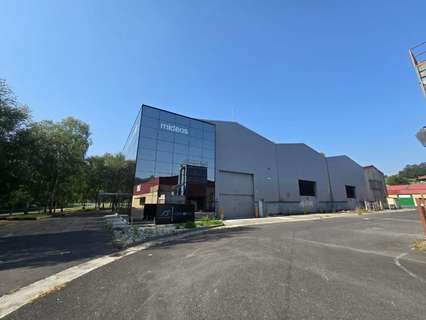 Nave industrial en venta en Etxebarria