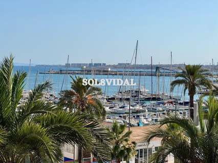 Piso en alquiler en Torrevieja