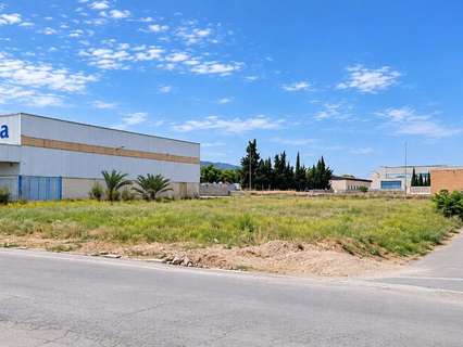Parcela rústica en venta en Murcia zona El Palmar