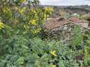 Casa en venta en Amoeiro