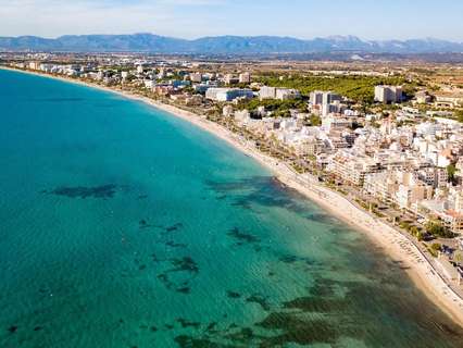 Parcela rústica en venta en Palma de Mallorca
