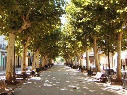 Chalet en venta en Carcaixent