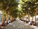 Chalet en venta en Carcaixent