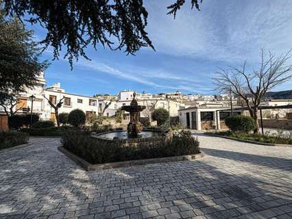 Piso en venta en Nevada zona Laroles