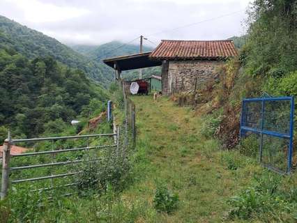 Parcela rústica en venta en Lena