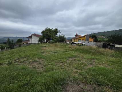 Parcela rústica en venta en San Martín del Rey Aurelio zona El Entrego