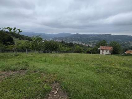 Parcela rústica en venta en Langreo