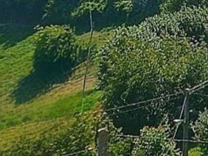 Parcela rústica en venta en Quirós