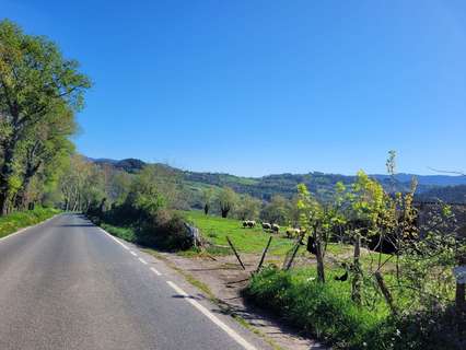 Parcela rústica en venta en Karrantza Harana/Valle de Carranza