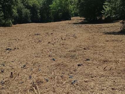 Parcela rústica en venta en Karrantza Harana/Valle de Carranza rebajada