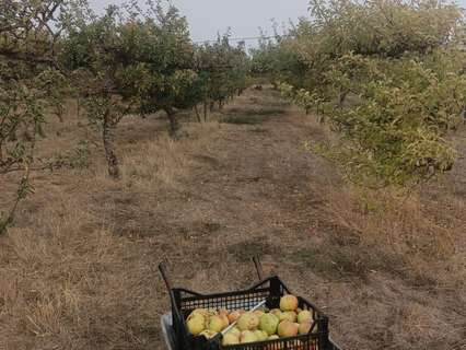 Parcela rústica en venta en Villasur de Herreros