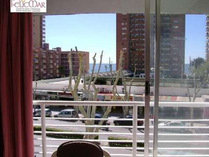 Apartamento en alquiler en Benidorm