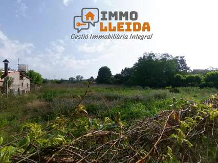 Parcela rústica en venta en Balaguer rebajada