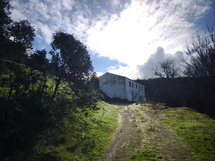Parcela rústica en venta en Setenil de las Bodegas