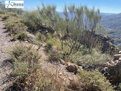 Parcela rústica en venta en Carataunas